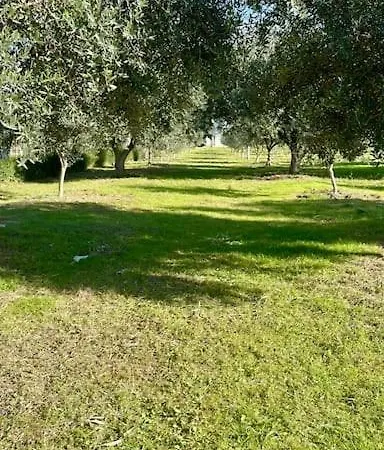 Villa Lufi