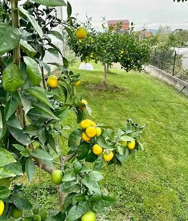 Lufi Villa